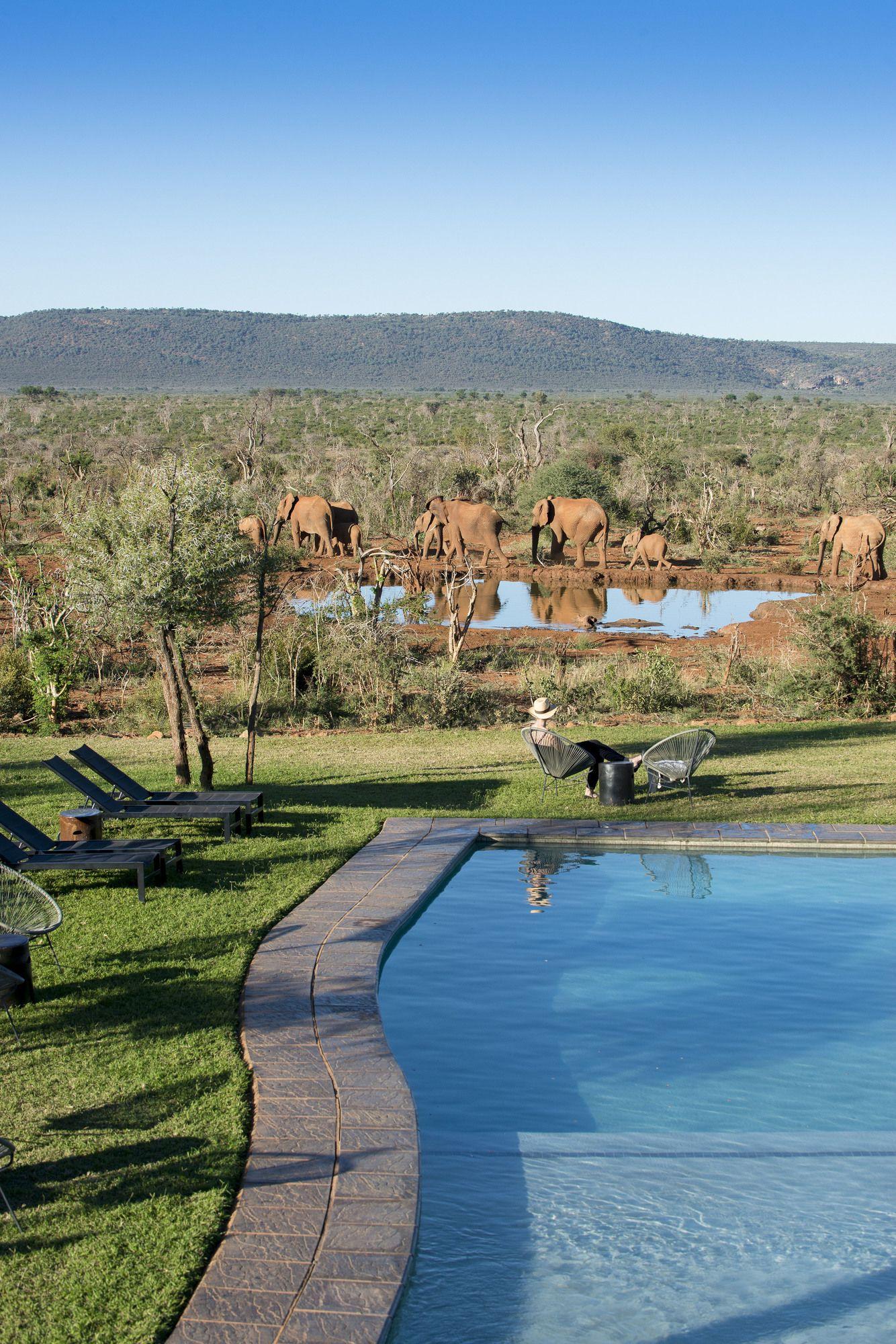 Madikwe Safari Lodge Reserva de Madikwe Exterior foto