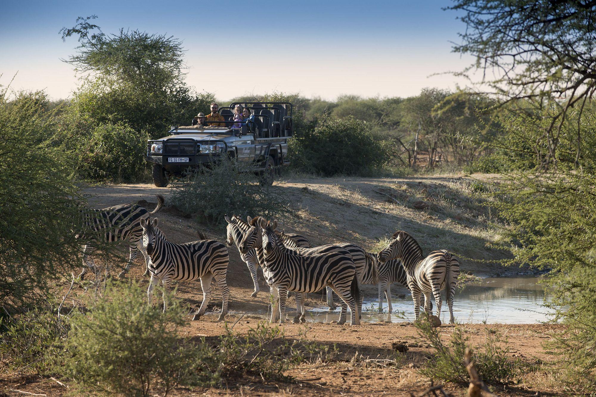 Madikwe Safari Lodge Reserva de Madikwe Exterior foto